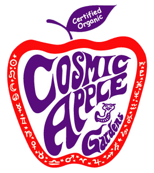 cosmic logo